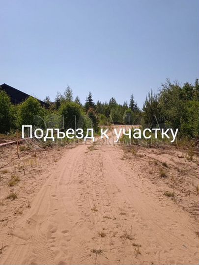 Участок 11,5 сот. (СНТ, ДНП)