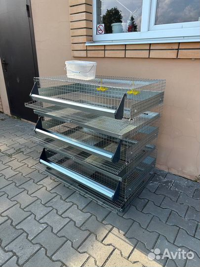 Клетка для перепелов на 150 голов