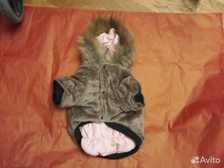 Одежда для собак мелких пород