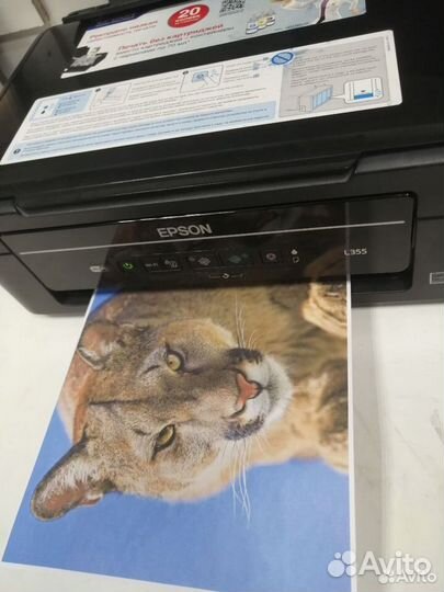Мфу epson L355 с снпч