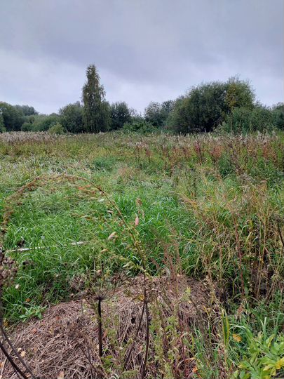 Участок 3 сот. (СНТ, ДНП)