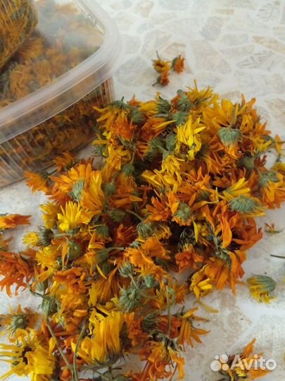 Семена Календулы лекарственной