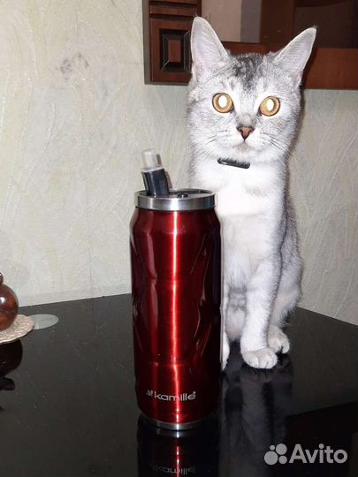 Термокружка #Термос