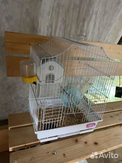 Клетка для грызунов