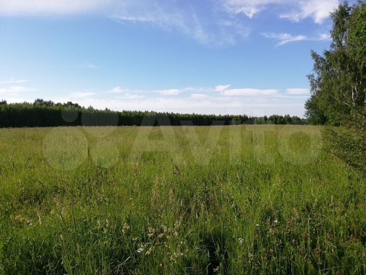 Участок 2,62 га (СНТ, ДНП)