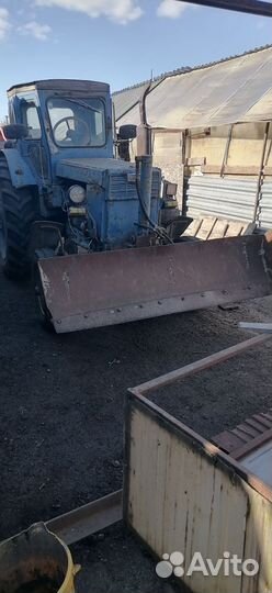 Трактор ЛТЗ Т-40, 1984