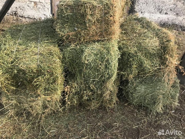 Продаётся зелёное сено люцерны и разнотравия