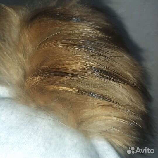 Шапка для девочки 52 54 Daniil&Daniela