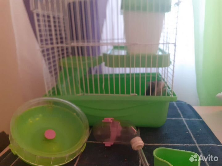 Джунгарский хомяк с клеткой+ Колесо и поилка