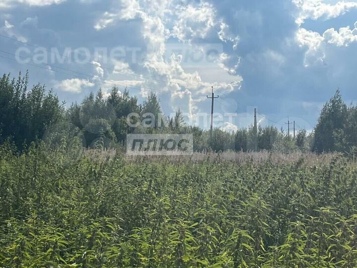 Участок 2,55 га (личное подсобное хозяйство (лпх))