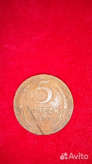 Монета 5 копеек 1924 года