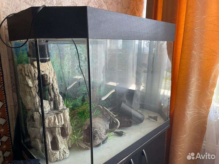 Аквариум 160 литров