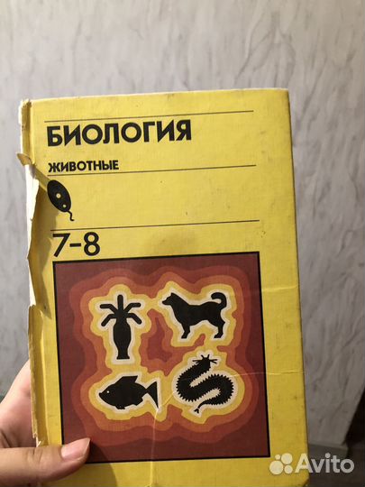 Подготовка к егэ