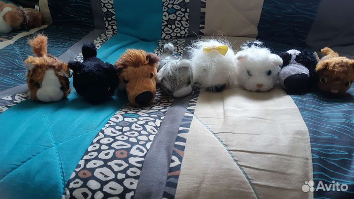 The dog collection и the cat collection