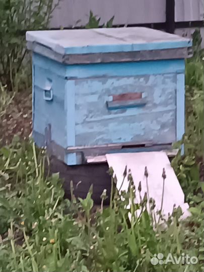 Улья для пчел