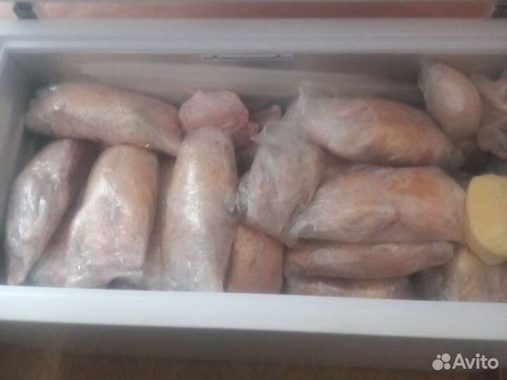 Мясо Гуся утки