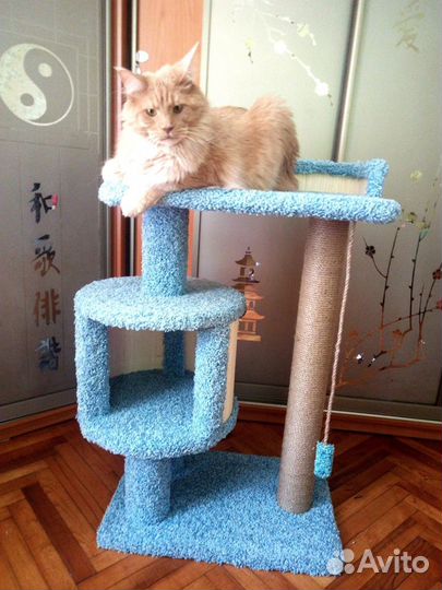 Домик для кошки, когтеточка. Дворец кошачий