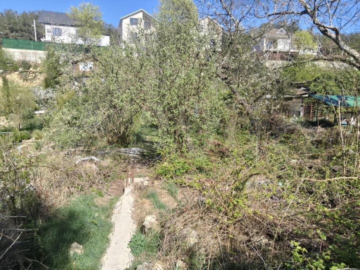 Участок 6,4 сот. (СНТ, ДНП)