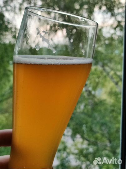 Пивоварня 40 литров Easy Brew