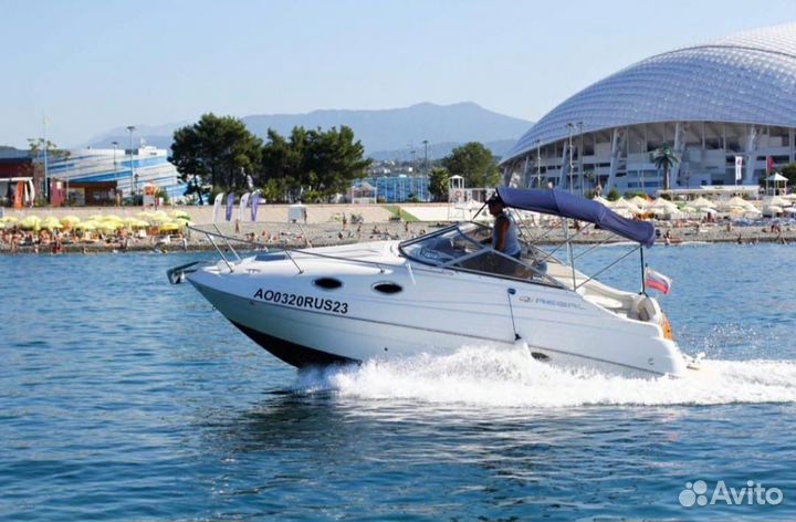 Прогулки на катере на встречу С дельфинами