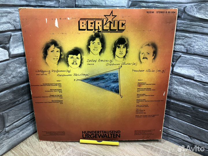 М.21310 Винил Berluc