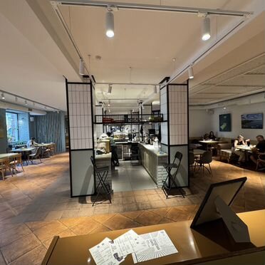 Общепит, 550 м²