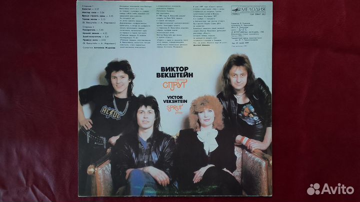 Виктор Векштейн группа Спрут