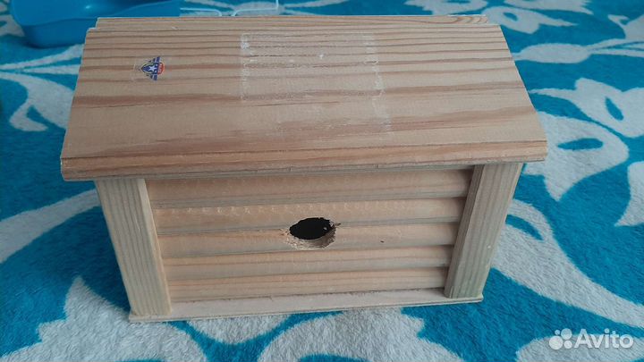 Животные грызуны