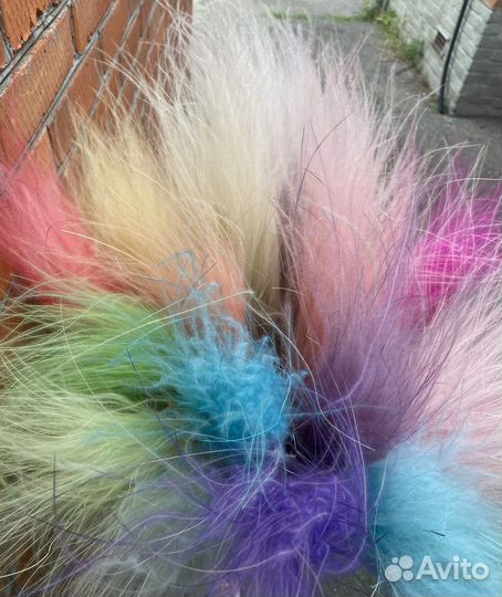 Суоцветы ковыль