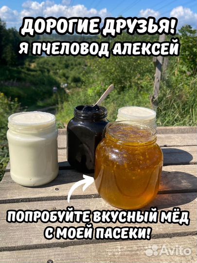 Невкусный Дикий мед
