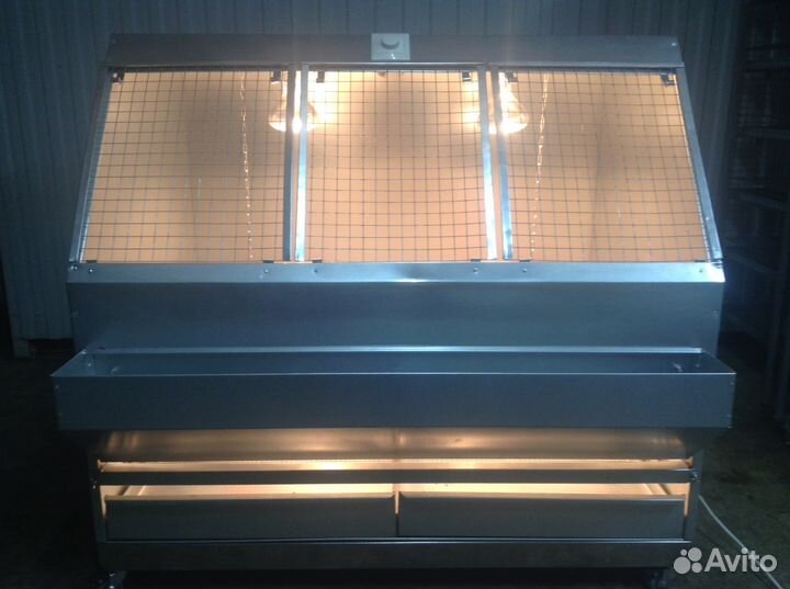 Новинка Брудер для Индюшат