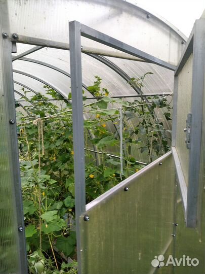 Теплица 3 на 6