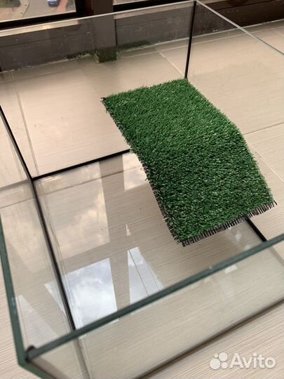 Аквариум для красноухой черепахи