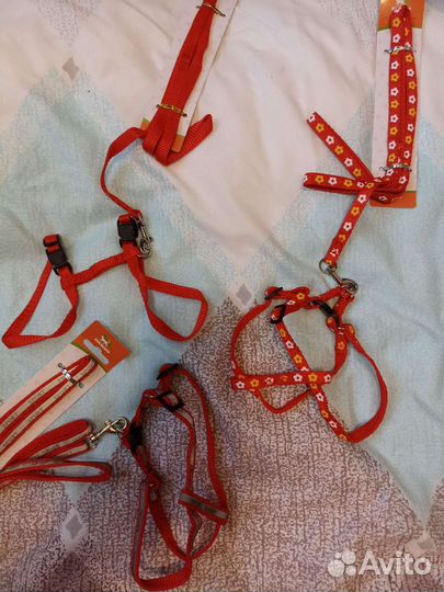 Ошейник для собак