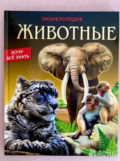 Энциклопедия 