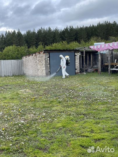 Частный мастер дезинфектор/уничтожение комаров