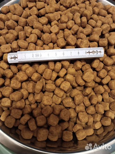 Корм для собак royal canin