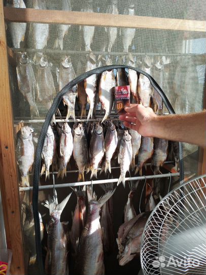 Продукты питания сухая рыба