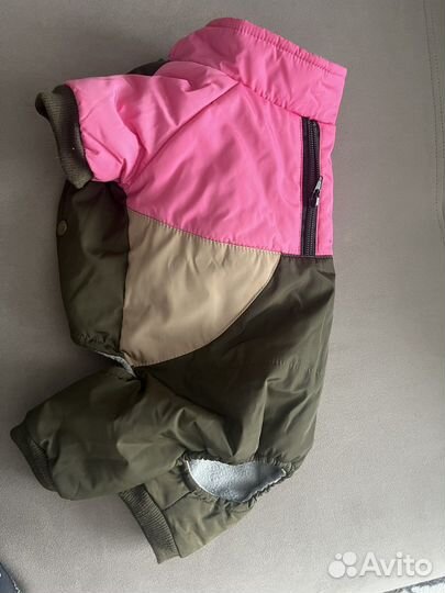 Одежда для маленьких собак