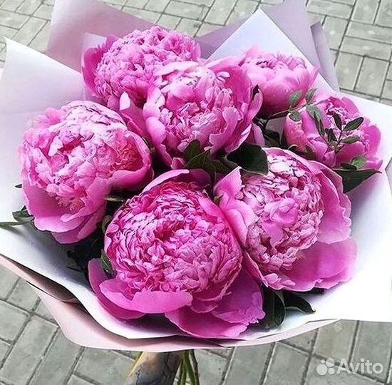 Пионы Букеты Цветы Доставка