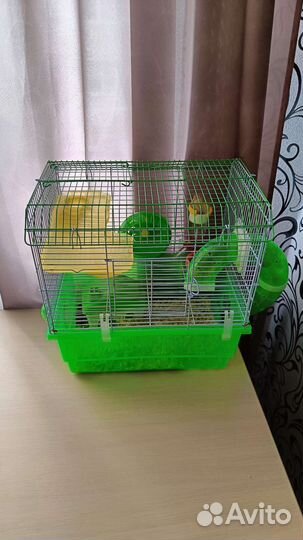 Джунгарский хомяк с клеткой