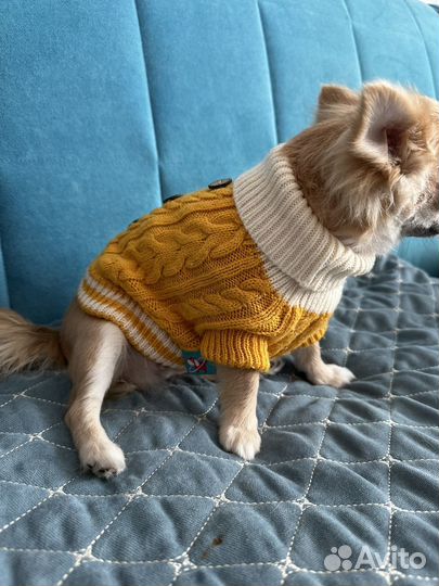 Одежда для супер маленьких собачек, щенков