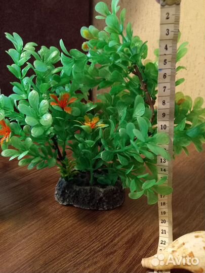 Аксессуары для аквариума