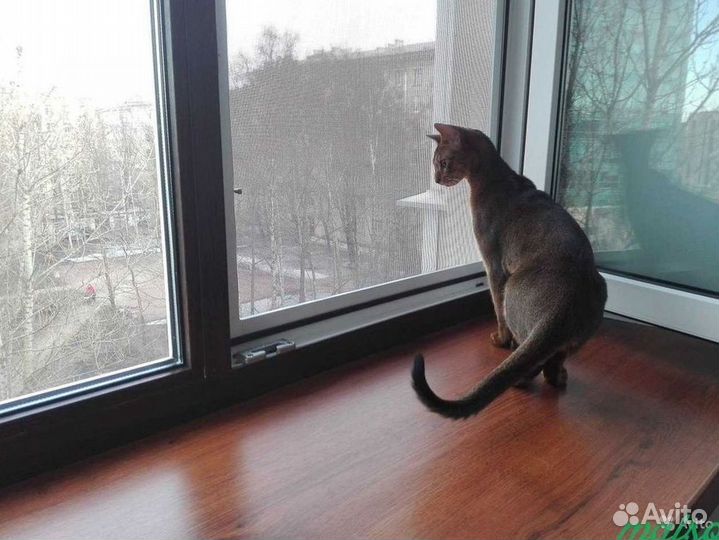 Москитная сетка анти пыль анти мошка анти кошка