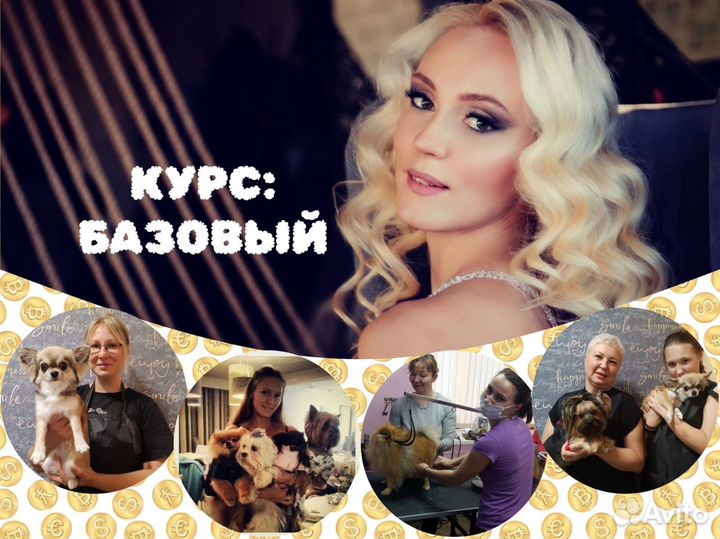 Школа Груминга. Обучение. Курсы