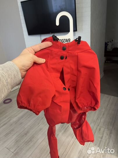 Дождевик-комбинезон для собак зоозавр 40