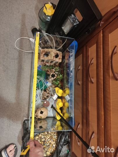 Аквариум 50 литров полный комплект под ключ