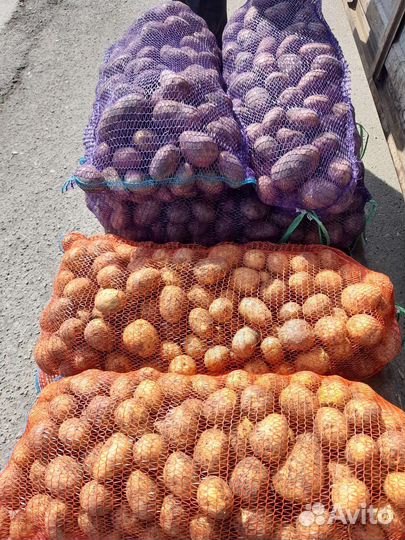 Продаю картофель