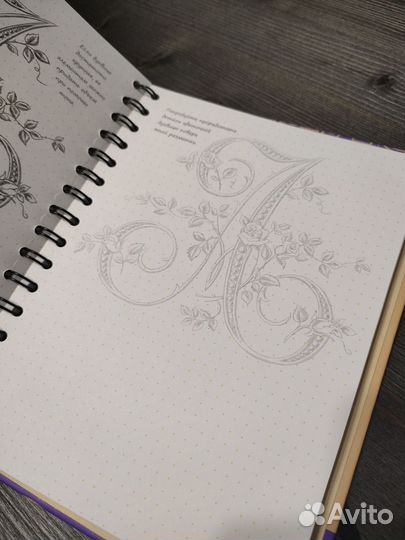 Скетчбук. Рисуем красивые шрифты