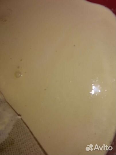 Корова Джерсейская